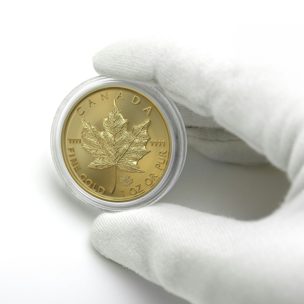 Die Rückseite der Goldmünze Maple Leaf, dessen Name rührt vom englischsprachigen Begriff für das charakteristische Blatt des Zucker-Ahorns auf der Münzrückseite. In Gold sparen mit den Sparplänen von Golden Gates.